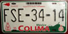 Colima Green Mountains License Plate