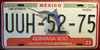Quintana Roo Fish License Plate