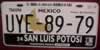 San Luis Potos Crossroads License Plate