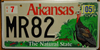 Arkansas Wild Turkey Wildlife Environmental License Plate