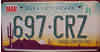 Arizona Grand Canyon State Graphic Cactus License Plate