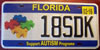 Florida Autisim Awareness License Plate