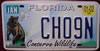 Florida Bear Conserve Wildlife License Plate