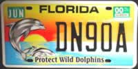 Florida Dolphin License Plate