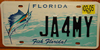 Fish Florida Sailfish License Plate