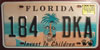 Florida Invest In Children License Plate