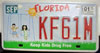 Florida Keep Kids Drug Free License Plate