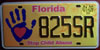 Florida Stop Child Abuse License Plate