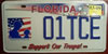 Florida Support Our Troops License Plate