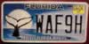 Florida Protect Florida Whales License Plate