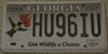 Georgia Hummingbird License Plate