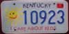 Kentucky I Care About Kids License Plate
