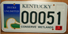 Kentucky Ducks Unlimited License Plate