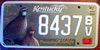 Kentucky Quail Promoting Wildlife License Plate