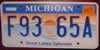 Michigan Great Lakes Splendor License Plate