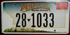 Montana License Plate