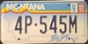 Montana Big Sky License Plate