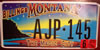 Montana Billings The Magic City License Plate