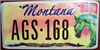 Montana Horse Sanctuary License Plate