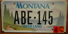 Montana Open Land License Plate