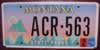 Montana State Parks License Plate