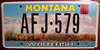 Montana Whitefish License Plate
