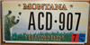 Montana Yellowstone National Park License Plate
