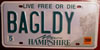 New Hampshire Vanity Bag Lady License Plate