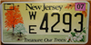 New Jersey Trees License Plate