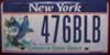 New York Bluebird License Plate