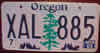 Oregon Tree License Plate