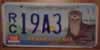 Pennsylvania River Otter License Plate