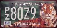 Pennsylvania Tiger License Plate