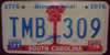 South Carolina Bicentennial License Plate