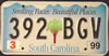 South Carolina Smiling Faces Beautiful Places License Plate