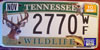 Tennessee Deer Wildlife License Plate