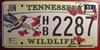 Tennessee Hummingbird License Plate