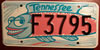 Tennessee  Silly Fish Arts License Plate