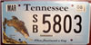 Tennessee Smallmouth Bass  License Plate