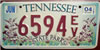 Tennessee Sate Parks License Plate