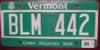 Vermont Maple Tree Green Mountain State License Plate